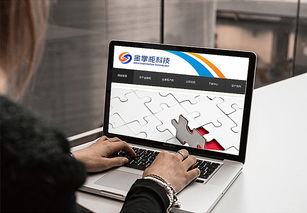 智慧互聯(lián)，專業(yè)信賴——金掌柜電子科技公司LOGO設計方案